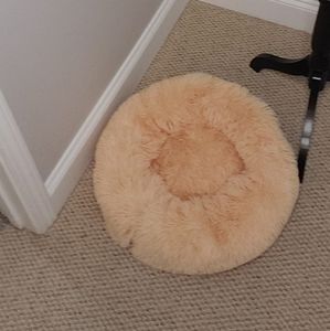 **SOLD OUT**  Comfortable dog beds NWT
